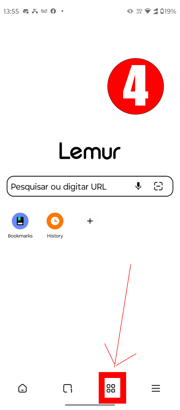 lemur